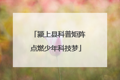 颍上县科普矩阵点燃少年科技梦