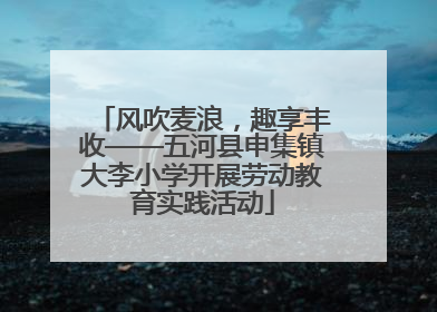 风吹麦浪，趣享丰收——五河县申集镇大李小学开展劳动教育实践活动