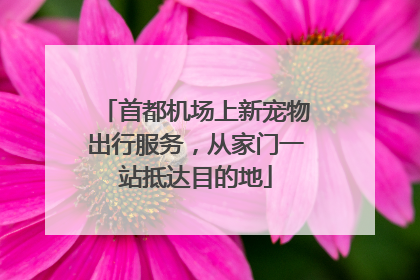 首都机场上新宠物出行服务，从家门一站抵达目的地