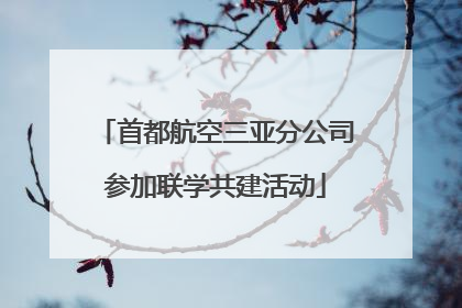 首都航空三亚分公司参加联学共建活动
