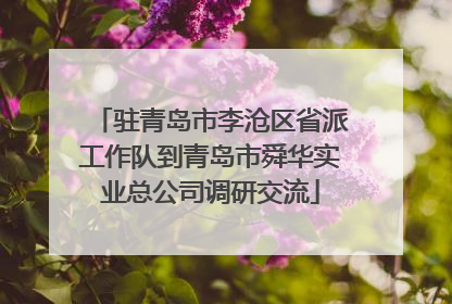 驻青岛市李沧区省派工作队到青岛市舜华实业总公司调研交流