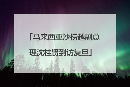 马来西亚沙捞越副总理沈桂贤到访复旦