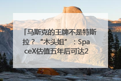 马斯克的王牌不是特斯拉？“木头姐”：SpaceX估值五年后可达2.5万亿美元！