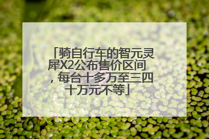 骑自行车的智元灵犀X2公布售价区间，每台十多万至三四十万元不等