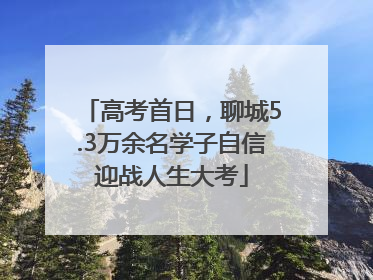 高考首日，聊城5.3万余名学子自信迎战人生大考