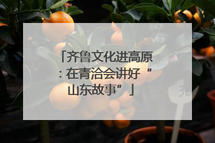 齐鲁文化进高原：在青洽会讲好“山东故事”
