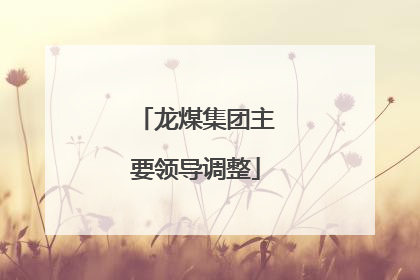 龙煤集团主要领导调整