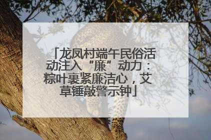 龙凤村端午民俗活动注入“廉”动力：粽叶裹紧廉洁心，艾草锤敲警示钟