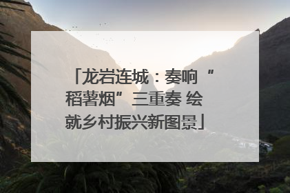 龙岩连城：奏响“稻薯烟”三重奏 绘就乡村振兴新图景