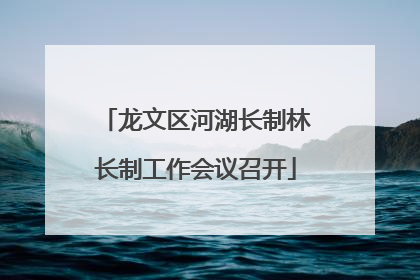 龙文区河湖长制林长制工作会议召开