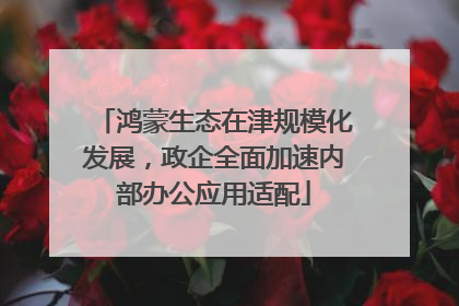 鸿蒙生态在津规模化发展，政企全面加速内部办公应用适配