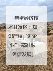 鹤壁经济技术开发区：知识产权“进企业” 精准服务促发展