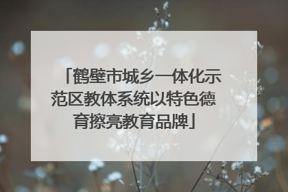 鹤壁市城乡一体化示范区教体系统以特色德育擦亮教育品牌