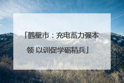 鹤壁市：充电蓄力强本领 以训促学砺精兵
