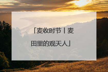 麦收时节丨麦田里的观天人
