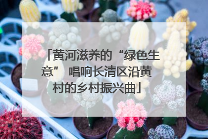 黄河滋养的“绿色生意” 唱响长清区沿黄村的乡村振兴曲