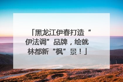 黑龙江伊春打造“伊法调”品牌，绘就林都新“枫”景！