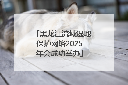 黑龙江流域湿地保护网络2025年会成功举办