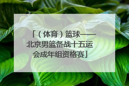（体育）篮球——北京男篮备战十五运会成年组资格赛