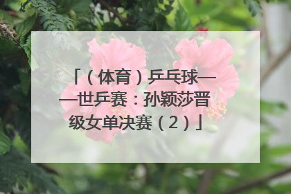 （体育）乒乓球——世乒赛：孙颖莎晋级女单决赛（2）