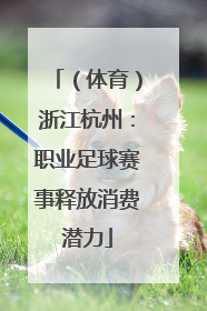 （体育）浙江杭州：职业足球赛事释放消费潜力