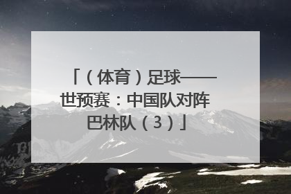 （体育）足球——世预赛：中国队对阵巴林队（3）