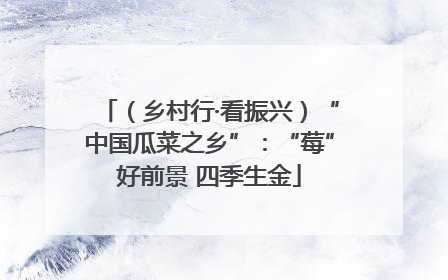 （乡村行·看振兴）“中国瓜菜之乡”：“莓”好前景 四季生金