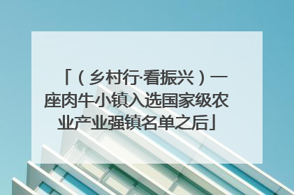 （乡村行·看振兴）一座肉牛小镇入选国家级农业产业强镇名单之后