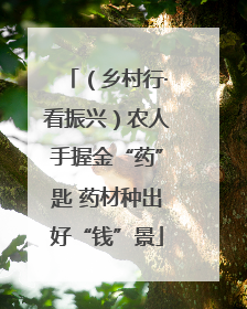 （乡村行·看振兴）农人手握金“药”匙 药材种出好“钱”景