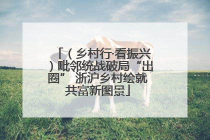 （乡村行·看振兴）毗邻统战破局“出圈” 浙沪乡村绘就共富新图景