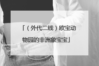 （外代二线）欧宝动物园的非洲象宝宝