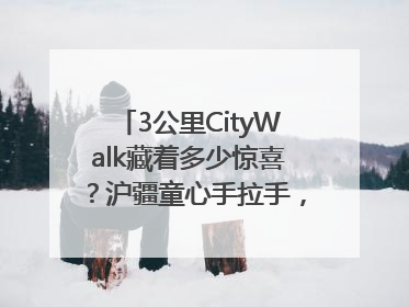 3公里CityWalk藏着多少惊喜？沪疆童心手拉手，“益起走”