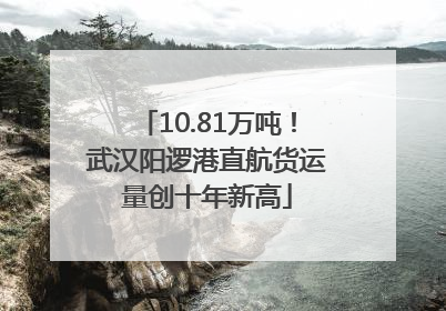 10.81万吨！武汉阳逻港直航货运量创十年新高