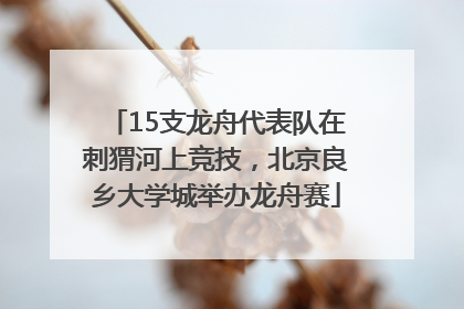 15支龙舟代表队在刺猬河上竞技，北京良乡大学城举办龙舟赛