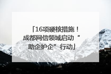 16项硬核措施！成都网信领域启动“助企护企”行动
