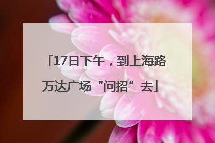 17日下午，到上海路万达广场“问招”去