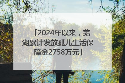 2024年以来，芜湖累计发放孤儿生活保障金2758万元