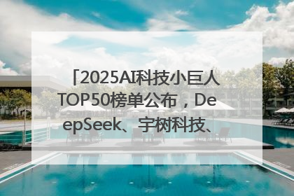 2025AI科技小巨人TOP50榜单公布，DeepSeek、宇树科技、蘑菇车联等企业荣誉上榜