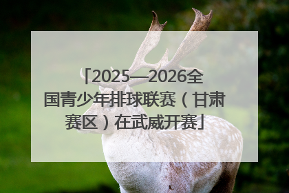 2025—2026全国青少年排球联赛（甘肃赛区）在武威开赛