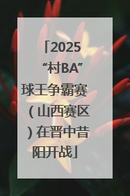 2025“村BA”球王争霸赛（山西赛区）在晋中昔阳开战