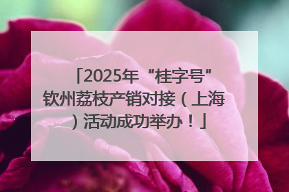 2025年“桂字号”钦州荔枝产销对接（上海）活动成功举办！