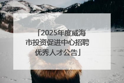 2025年度威海市投资促进中心招聘优秀人才公告