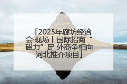 2025年廊坊经洽会·现场丨国际招商“磁力”足 外商争相向河北推介项目