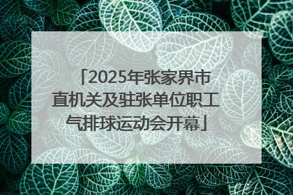 2025年张家界市直机关及驻张单位职工气排球运动会开幕