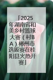 2025年湖南省和美乡村篮球大赛（村BA）郴州市选拔赛在桂阳县火热开赛