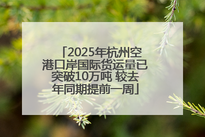 2025年杭州空港口岸国际货运量已突破10万吨 较去年同期提前一周