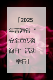2025年青海省“安全宣传咨询日”活动举行