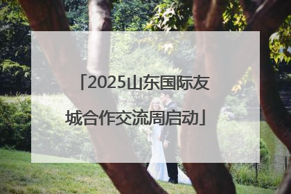 2025山东国际友城合作交流周启动
