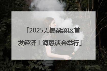 2025无锡梁溪区首发经济上海恳谈会举行
