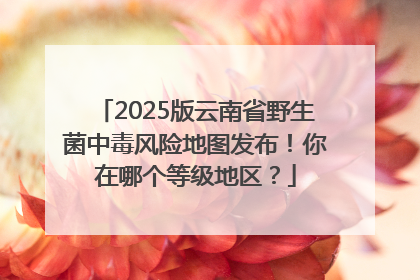 2025版云南省野生菌中毒风险地图发布！你在哪个等级地区？